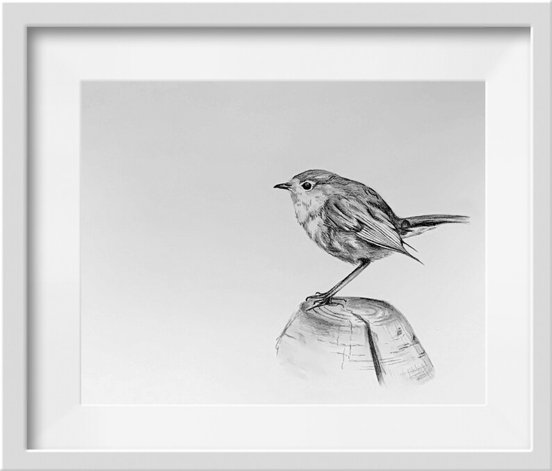ORIGINAL Robin Redbreast Pencil Drawing Robin Bird Wall ...