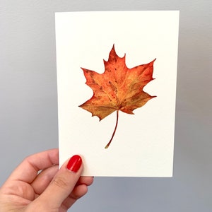 Autumn Leaf Greeting Card - Fall Botanical Illustrated Art - Watercolour Notecard - A6 - Blank Inside - Envelope Included