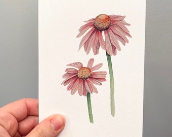 Coneflowers Flower Greeting Card - Wildflower Botanical Illustrated Art - Watercolour Notecard - A6 - Blank Inside - Envelope Included