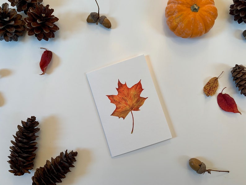 Autumn Leaf Greeting Card - Fall Botanical Illustrated Art ...