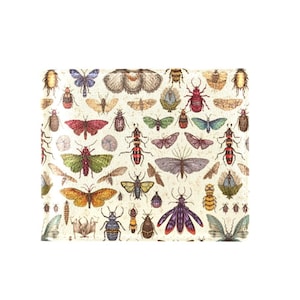 Entomology Print Bifold Wallet: PU Leather Bug Wallet with Coin Pocket
