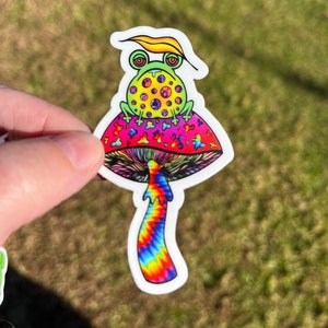 May include: A psychedelic sticker of a green frog sitting on a mushroom with a tie-dye stem. The mushroom has a pink and red cap with a black outline and a white background.
