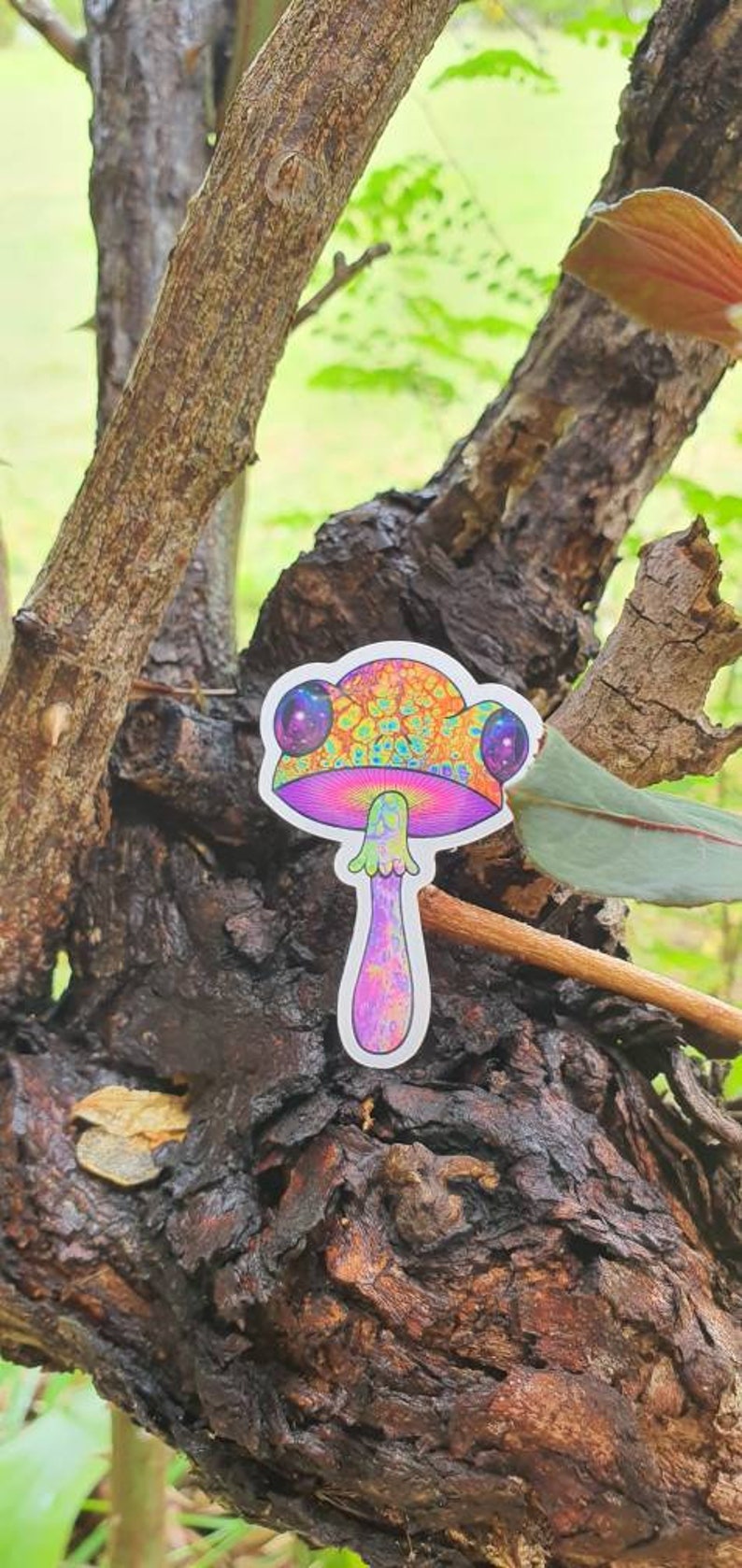 Puede incluir: Una colorida pegatina de hongo con un dise&ntilde;o psicod&eacute;lico. La pegatina presenta un tallo morado, un sombrero rosa y naranja y grandes ojos morados. La pegatina est&aacute; colocada en una rama de &aacute;rbol.