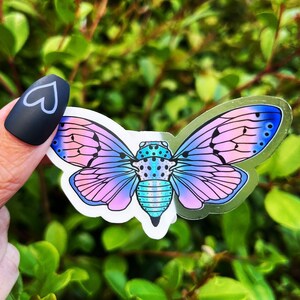 Clear Moth Sticker. Waterproof Sticker. Laptop Sticker. Cute Moth Sticker. High quality Sticker.