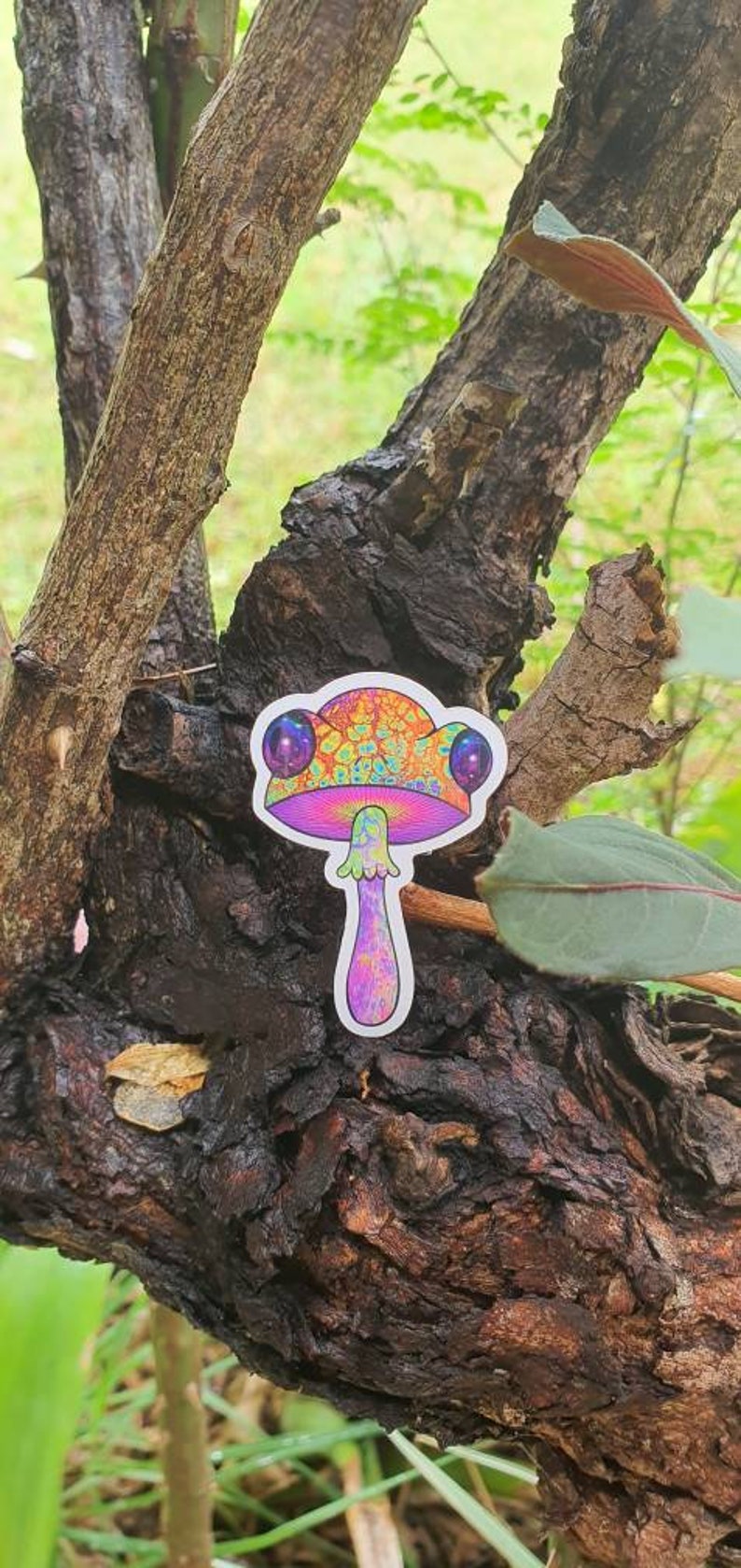 Puede incluir: Una colorida pegatina de una seta psicod&eacute;lica con tallo y sombrero morados, y grandes ojos morados. La seta se encuentra sobre un fondo de tronco de &aacute;rbol y follaje verde.