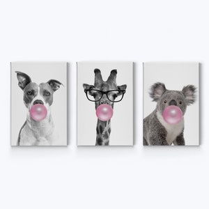 Pitbull Dog Giraffe Koala Chewing Pink Bubble Gum Black and White 3 Piece Set Woodland Canvas Wall Art Print Kids Boy Girl Room Wall Decor