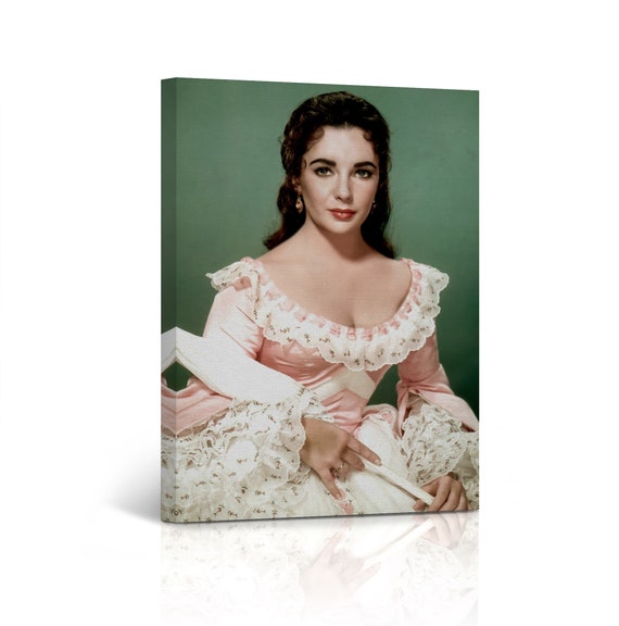 elizabeth taylor giant pink dress THE DOWNEAST DILETTANTE: HOW THE DILETTANTE WATCHES A MOVIE
