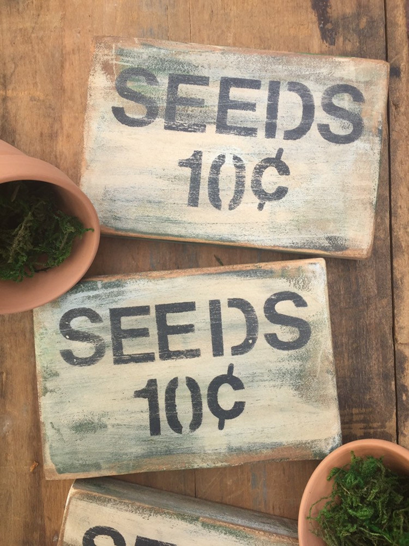 Seed Sign Seeds Tiered Tray Signs for Spring Garden Etsy