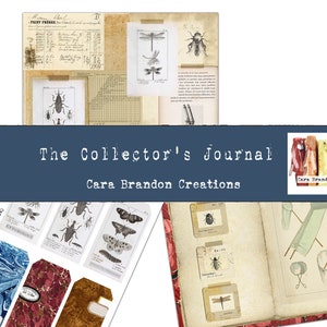 May include: A digital collage sheet with vintage illustrations of insects, a dragonfly, and a journal with the text "The Collector's Journal Cara Brandon Creations".
