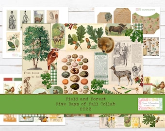 Forest Junk Journal Kit, Herbst Ephemera (Digitaler Download)