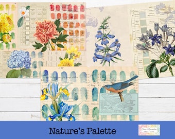 Nature's Palette Junk Journal Kit, Ephemera, Tags (Digital Download)