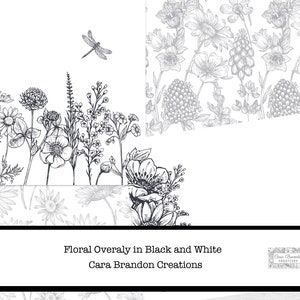 Black and White Floral Junk Journal Kit (Digital Download) image 3
