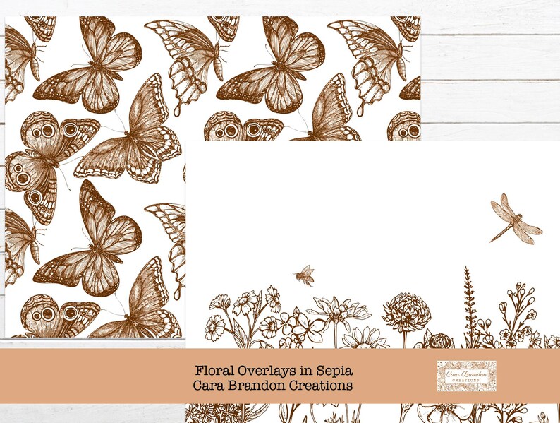 May include: A digital paper pack with a sepia toned floral pattern featuring butterflies and a dragonfly. The pattern is repeated on the left side of the image. The right side of the image features a border of flowers and leaves. The text "Floral Overlays in Sepia Cara Brandon Creations" is at the bottom of the image.
