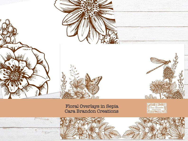 May include: A set of four digital floral overlays in sepia tones. The overlays feature various flowers, butterflies, and a dragonfly. The overlays are perfect for adding a touch of vintage charm to your digital projects.
