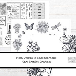 May include: Black and white floral illustrations with a dragonfly, butterfly, and flowers. The text "Floral Overaly in Black and White Cara Brandon Creations" is at the bottom of the image.