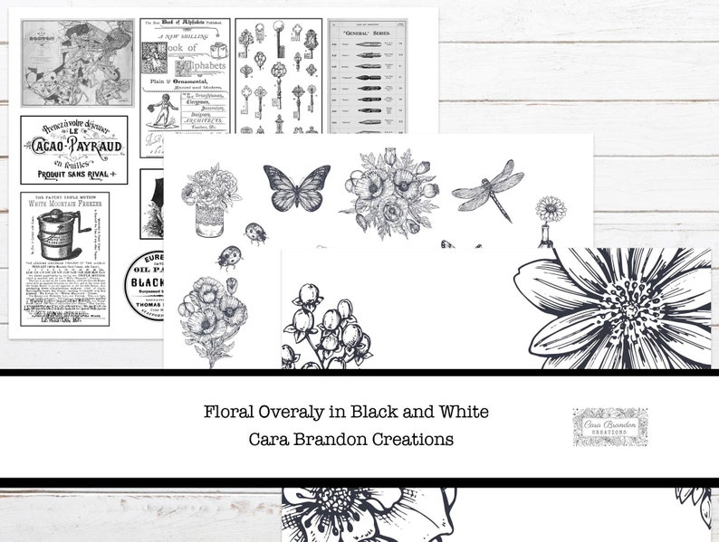 May include: Black and white floral illustrations with a dragonfly, butterfly, and flowers. The text "Floral Overaly in Black and White Cara Brandon Creations" is at the bottom of the image.