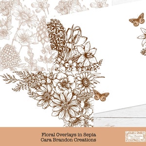 May include: A digital download of floral corner borders in sepia tones. The borders feature a variety of flowers, leaves, and butterflies. The text "Floral Overlays in Sepia Cara Brandon Creations" is at the bottom of the image.