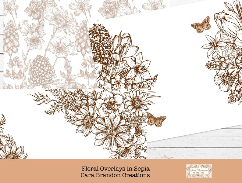 May include: A digital download of floral corner borders in sepia tones. The borders feature a variety of flowers, leaves, and butterflies. The text "Floral Overlays in Sepia Cara Brandon Creations" is at the bottom of the image.