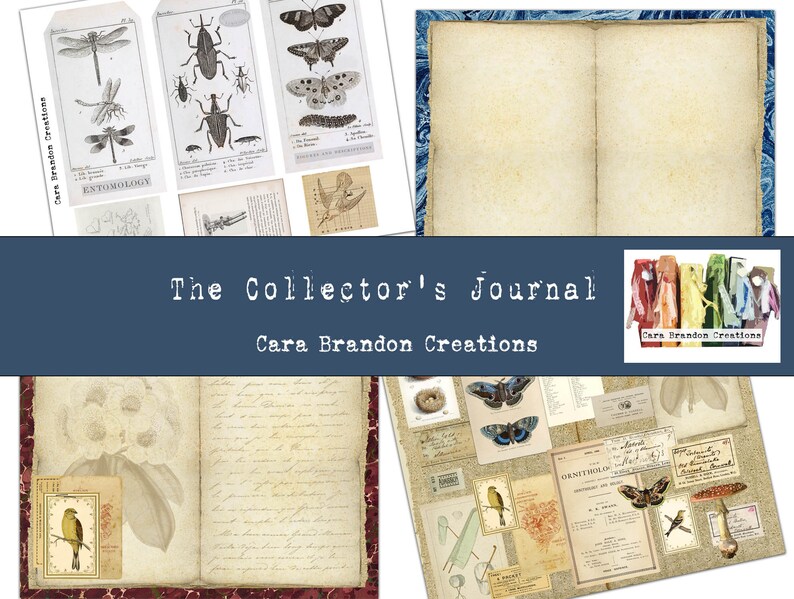 May include: A vintage-style journal with a blue cover and the text "The Collector's Journal" and "Cara Brandon Creations". The journal is open to reveal blank pages with a decorative border. The pages are filled with vintage illustrations of insects, birds, and flowers.