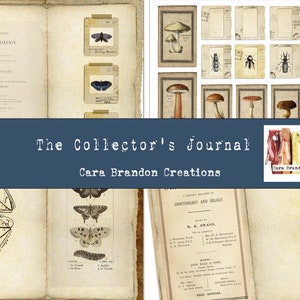 Vlinder en Paddestoel Junk Journal Kit, Vintage Junk Journal Kit, The Collector's Journal Digital Junk Journal kit