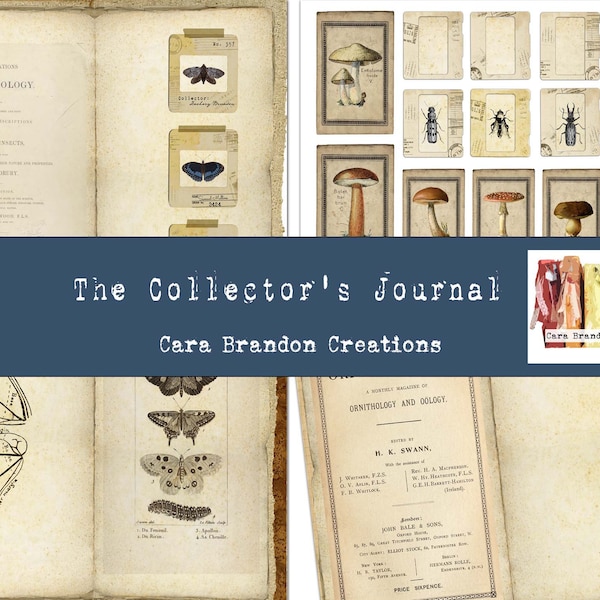 Butterfly and Mushroom Junk Journal Kit, Vintage Junk Journal Kit, The Collector's Journal Digital Junk Journal kit