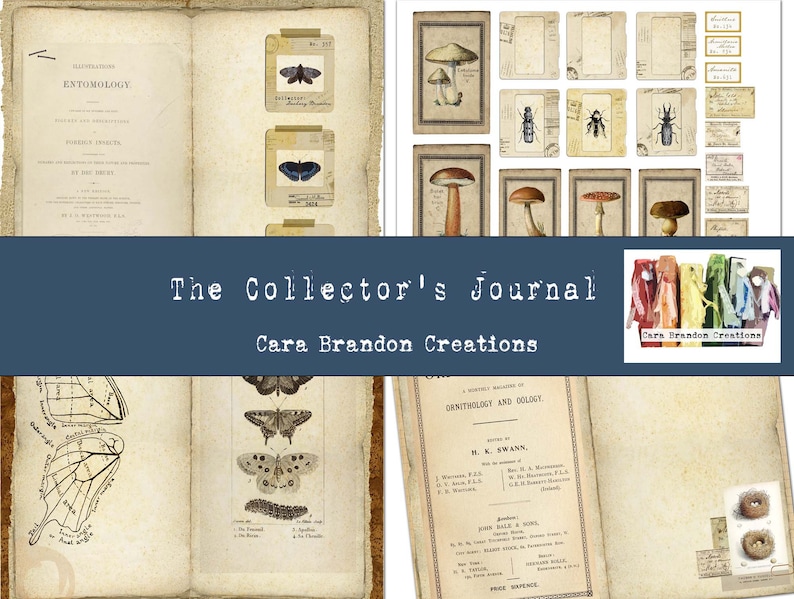 May include: A vintage-style journal cover with the text "The Collector's Journal" and "Cara Brandon Creations". The cover features images of butterflies, mushrooms, and other nature-inspired illustrations.