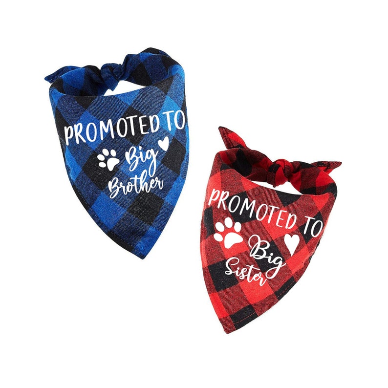 Promoted to Big Brother Promoted to Big Sister Bandana Etsy