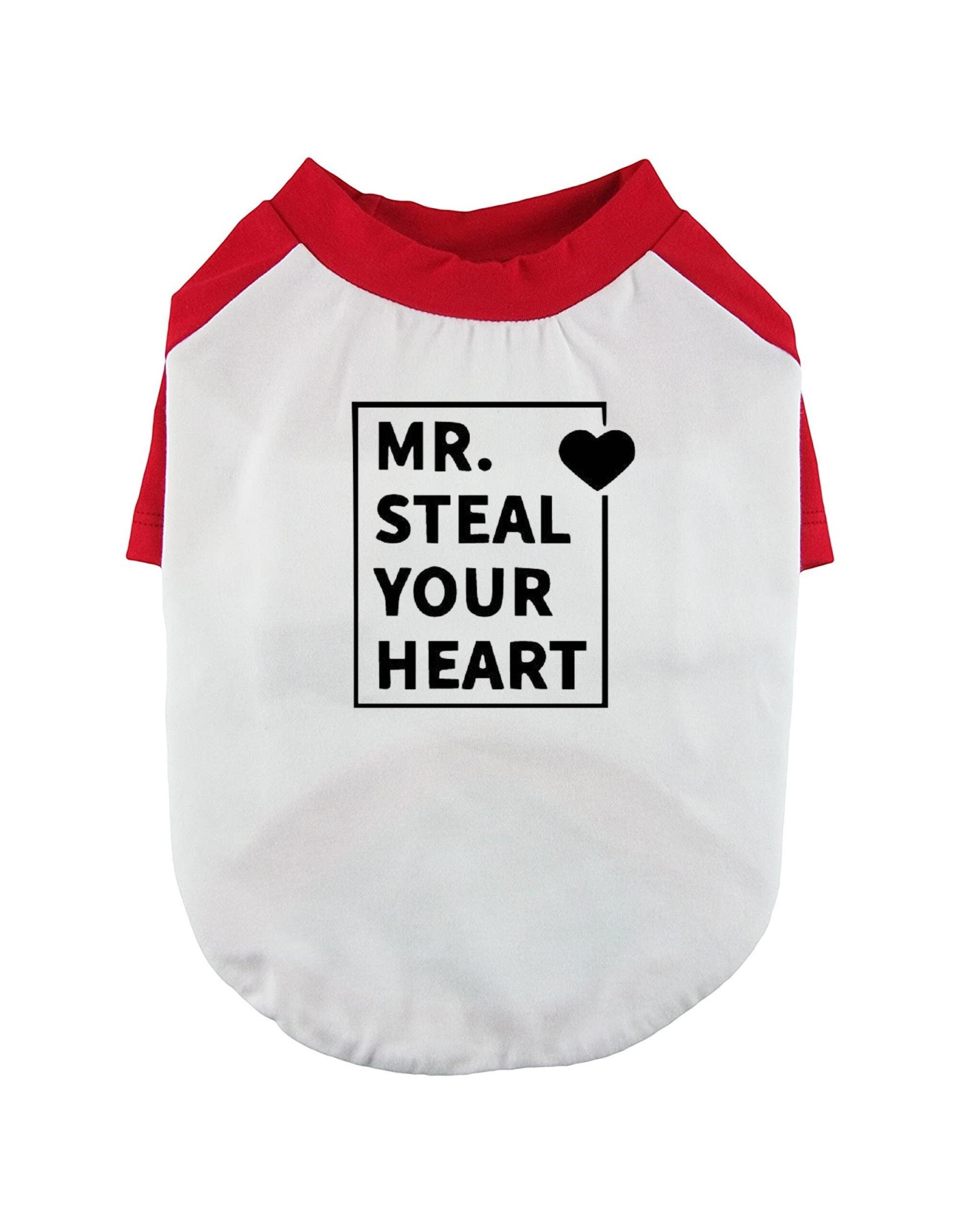 Why Does My Puppy Steal My Clothes