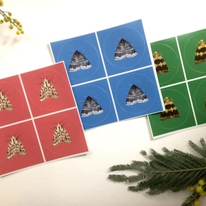 Australian MOTHS sticker set | The complete SET | Features Three different Moth designs on 3 sheets, TWELVE moth stickers!