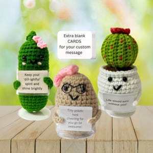 Crochet Potato Pickle Succulent Christmas Coworker Women Teacher Appreciation Thinking of You Gifts Send a Hug Gift for Her
