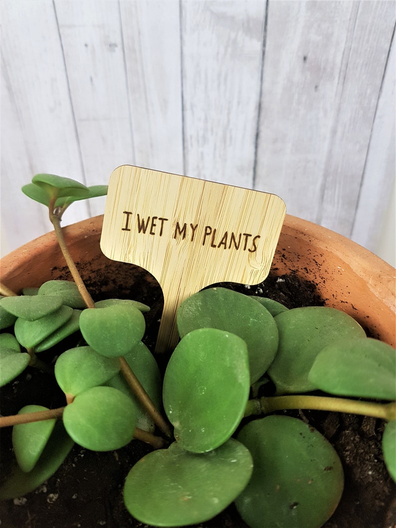 Personalized Plant Tags Plant Theme Decor Funny Plant Sign Etsy