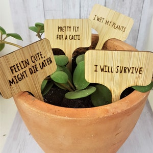 Funny plant gift for him, Funny plant stakes, Plant mom gift, Plant gift set, Funny Plant lover gift, Plant accessories, Plant Sign, Herbs