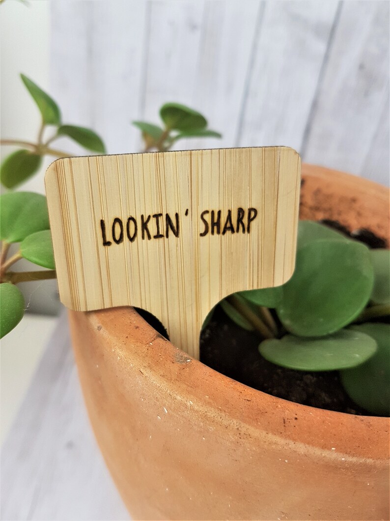 Personalized Plant Tags Plant Theme Decor Funny Plant Sign Etsy