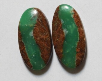 14.55 Cts Natural Bio Chrysoprase (20mm X 11mm Each) Cabochon Match Pair