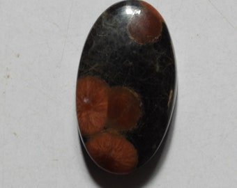 Cabochon d'obsidienne cacahuète naturelle de 11,50 cts, pierre précieuse en vrac 21,6 x 12,4 x 5,4 mm