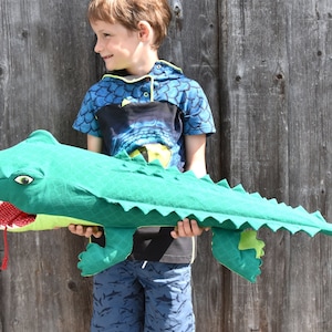 Crocodile-Dragon School Cone D(r)agobert • eBook&Cut