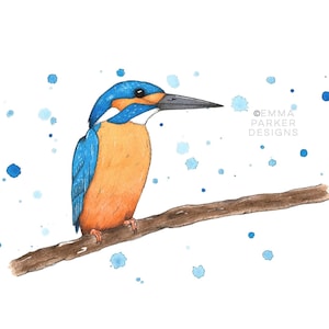 Watercolour Kingfisher Fine Art Print ‘The Admiral’ | Watercolour Kingfisher Art | Blue Watercolour Art | Kingfisher Painting