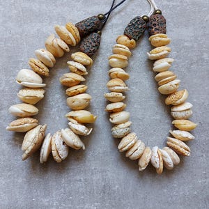 May include: Two necklaces made of natural seashells, strung together with a dark cord. The shells are in shades of cream and tan, with a few showing hints of blue and gray. The top of each necklace has a dark brown, textured bead.