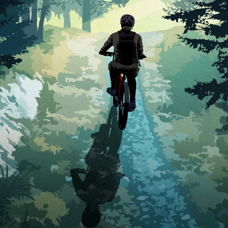 May include: A person riding a mountain bike on a dirt path through a forest. The path is lined with trees and the person is wearing a helmet and riding a black mountain bike.