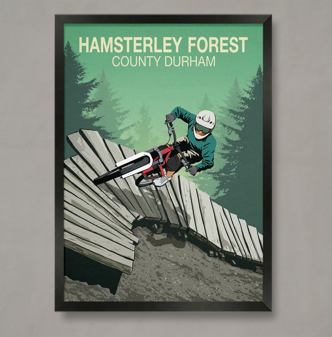 Hamsterley Forest Mountain Bike Trail Poster: County Durham Art