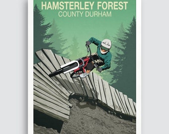 Durham Hamsterley Forest Mountain Bike Trails Ridge Line Trail