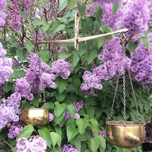 May include: A pair of brass hanging planters with chains, suspended from a decorative metal frame. The planters are hanging in front of a bush of purple lilac flowers.