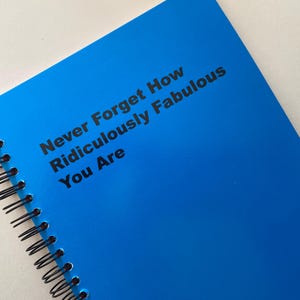 Vergessen Sie nie, wie fabelhaft Sie sind Notizbuch, Planungsnotizbuch, Abschiedsgeschenk, Büroarbeitsgeschenk, lustiges Notizbuch, Geschenk für Freunde