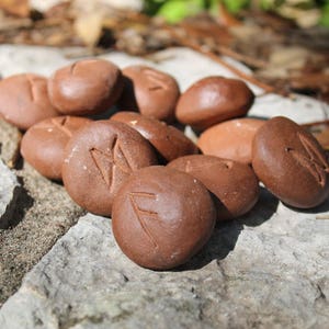 May include: A set of brown, round, rune stones with different symbols carved into them. The stones are arranged in a semi-circle on a gray, textured surface.