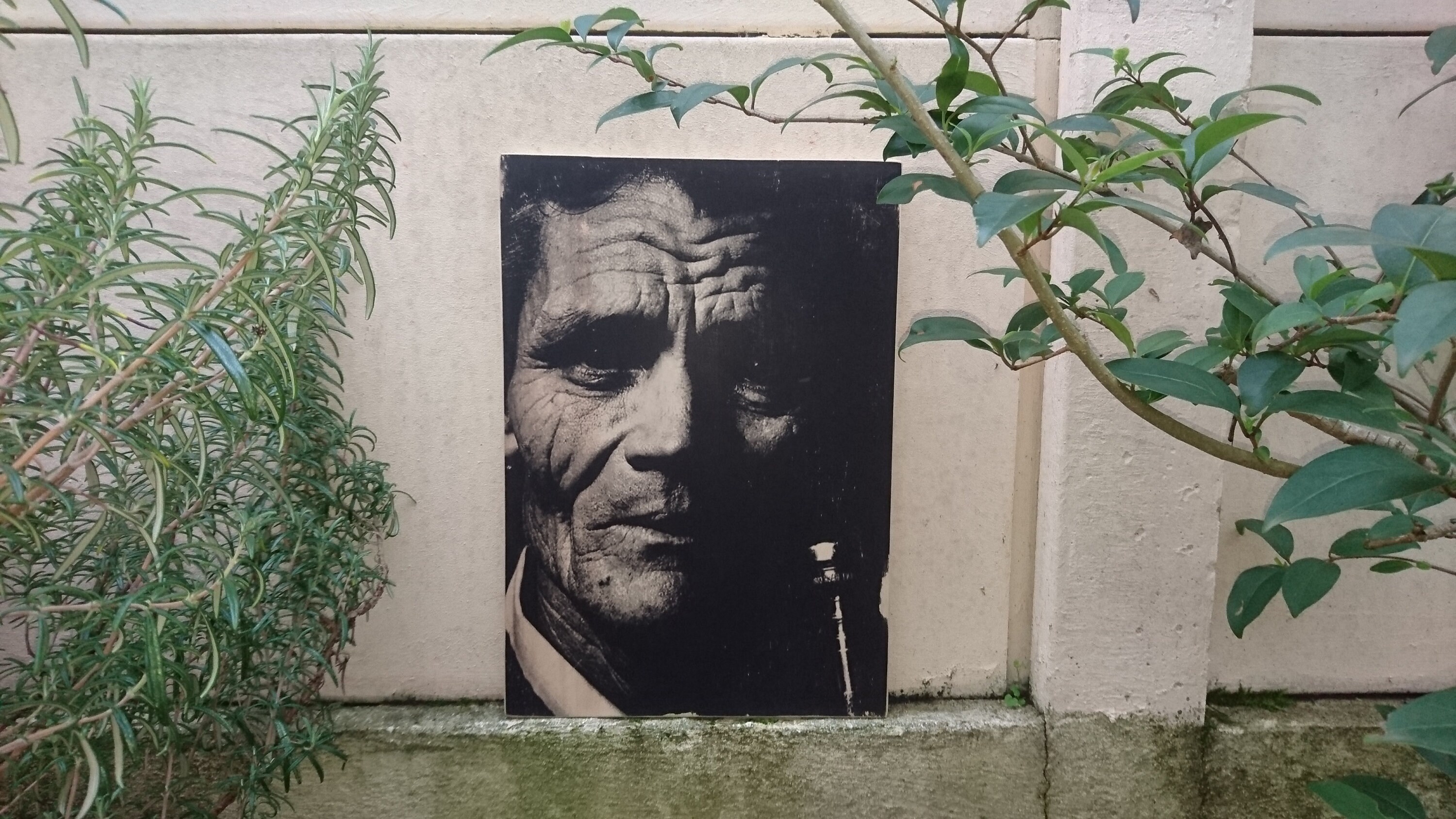 Chet Baker. Impression sur Bois. Print in Wood. Transfert Décoration Vintage. Murale. Homemade.