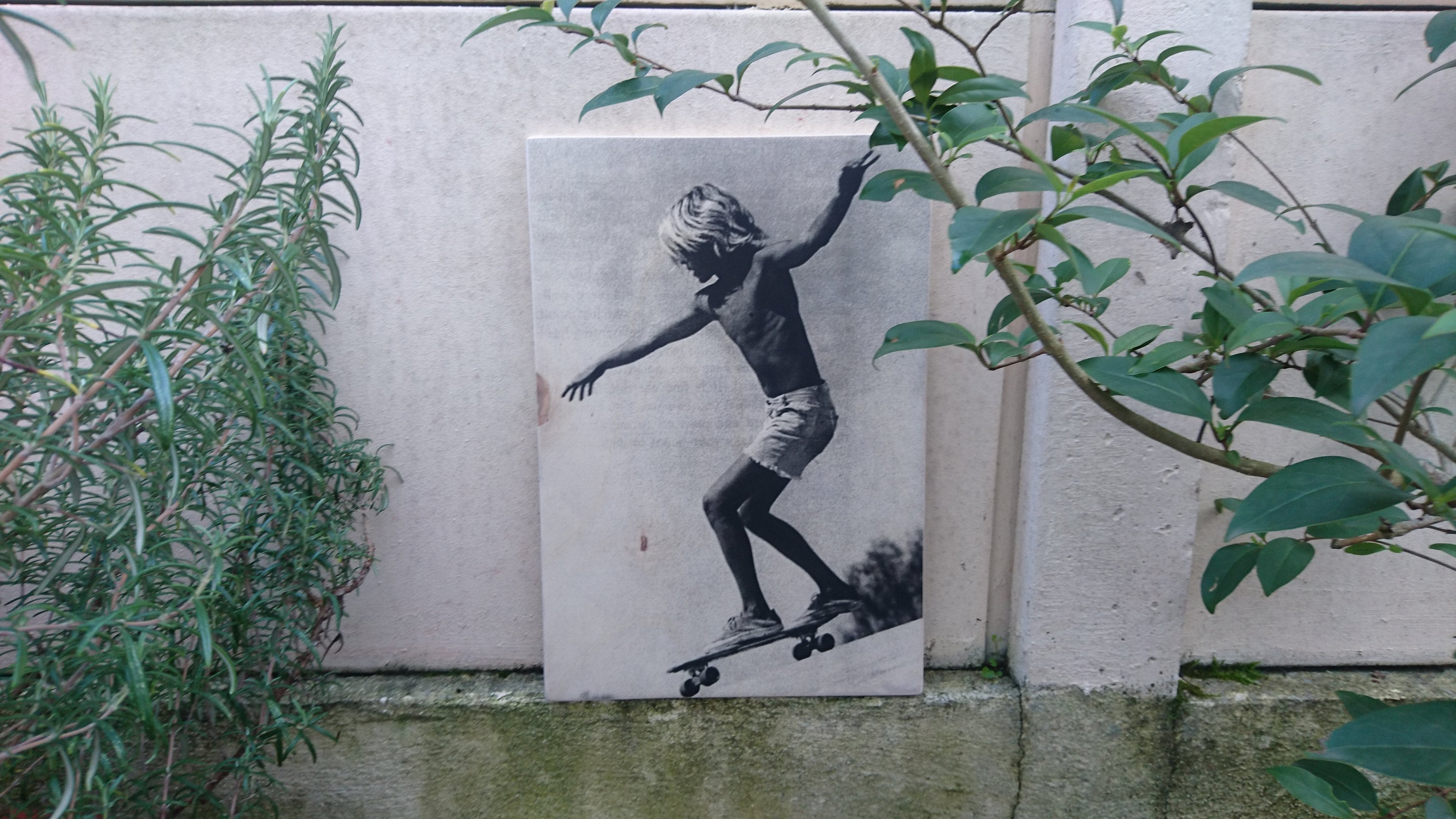 Jay Adams. Skate. Impression sur Bois. Print in Wood. Transfert Déco Vintage . Murale.