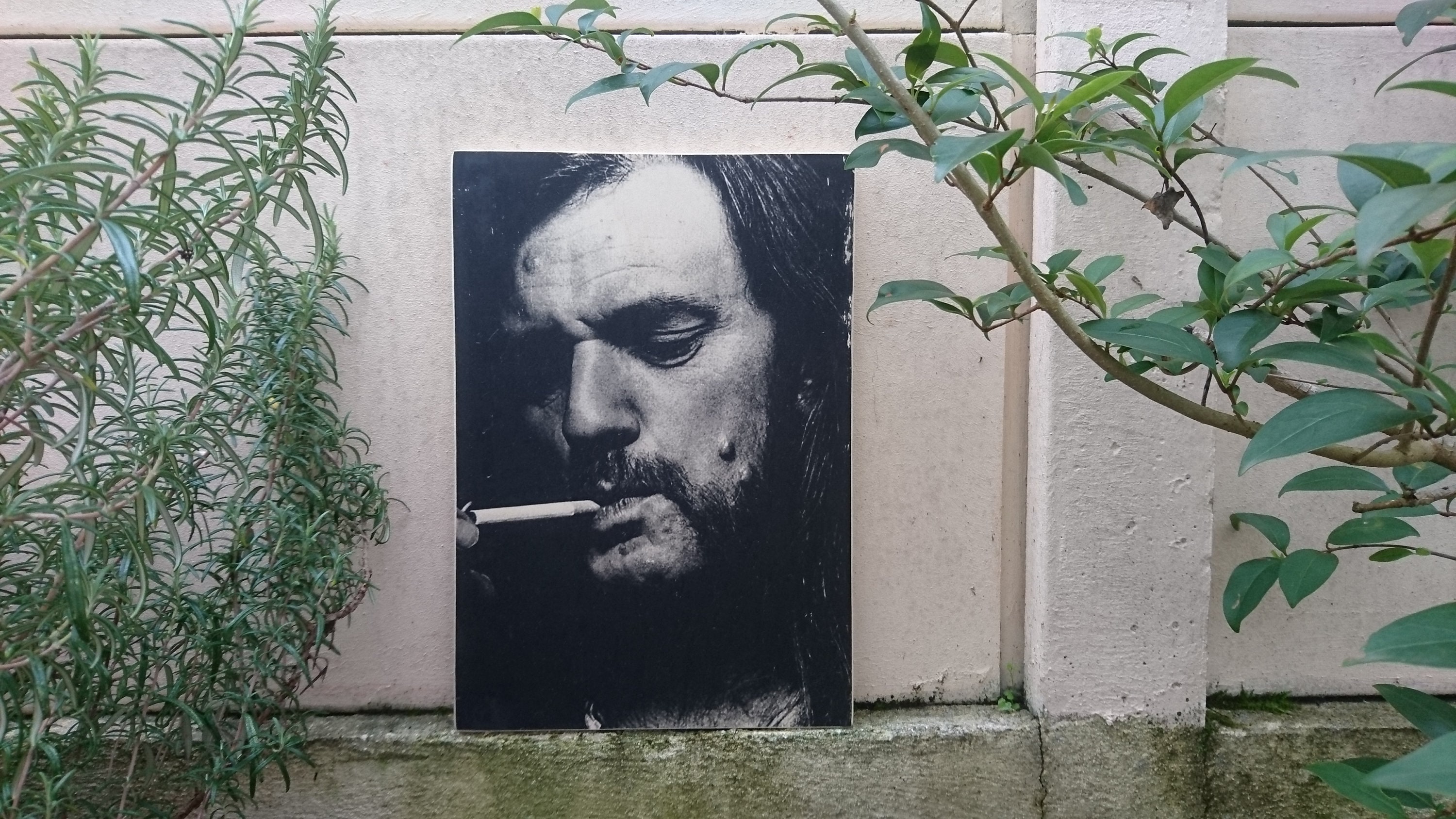 Lemmy Kilmister Motorhead. Impression sur Bois. Print in Wood. Transfert Bois.déco Vintage.déco Mura