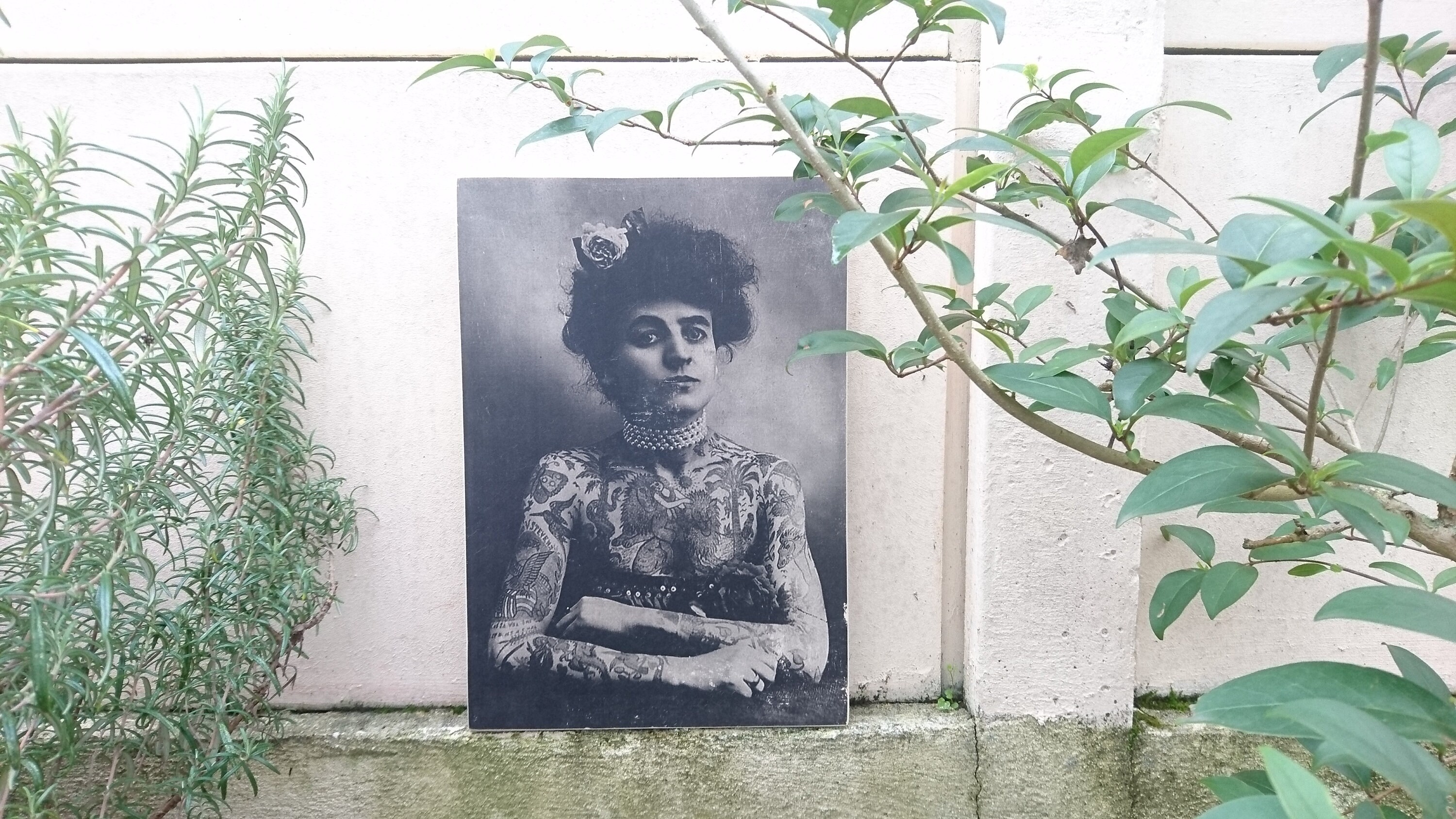 Tattoo Maud Wagner. Impression sur Bois. Print in Wood. Transfert Déco Vintage. Murale. Homemade.