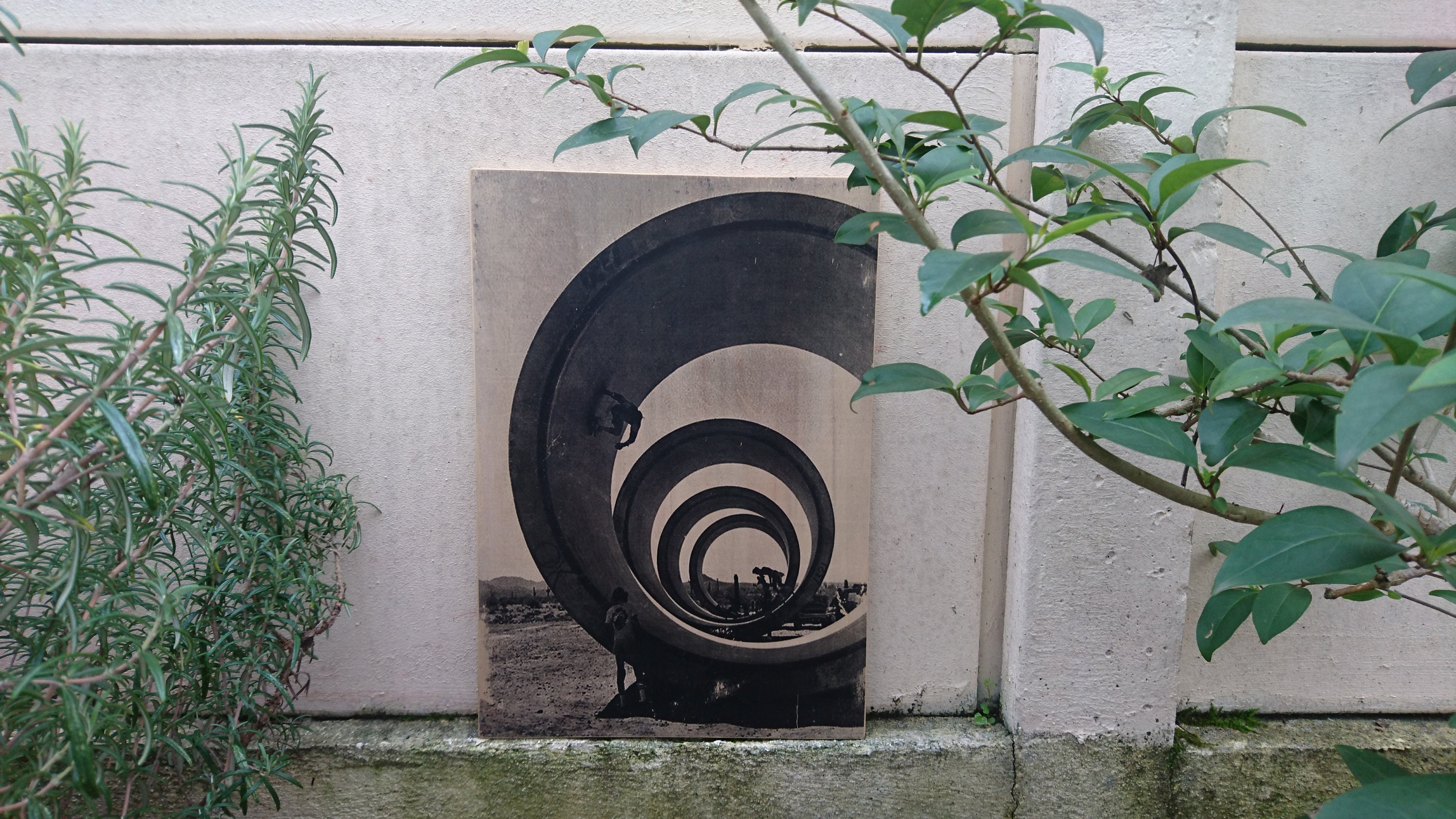 Skate Pipeline 70's. Impression sur Bois. Print in Wood. Transfert Déco Vintage. Murale. Homemade;