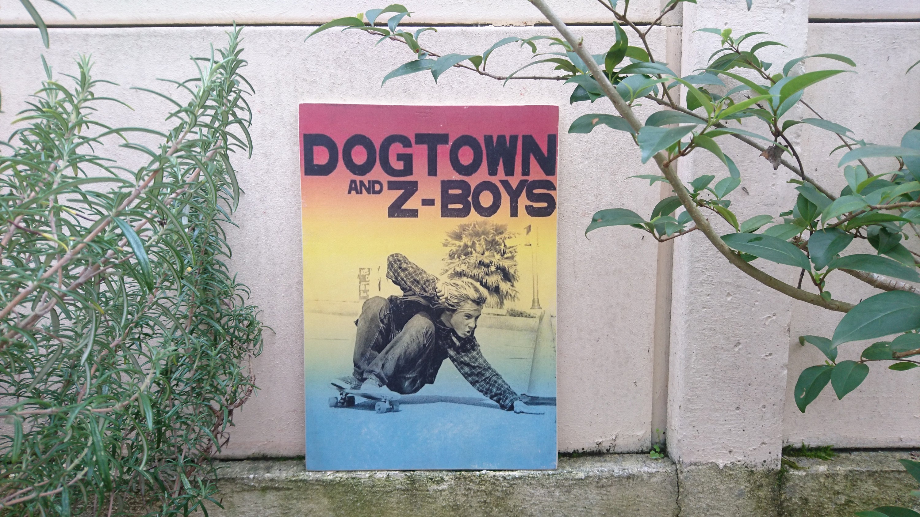Lords of Dogtown Art Board Print for Sale by hamjudyd